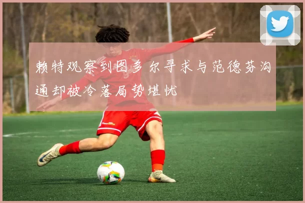 赖特观察到图多尔寻求与范德芬沟通却被冷落局势堪忧